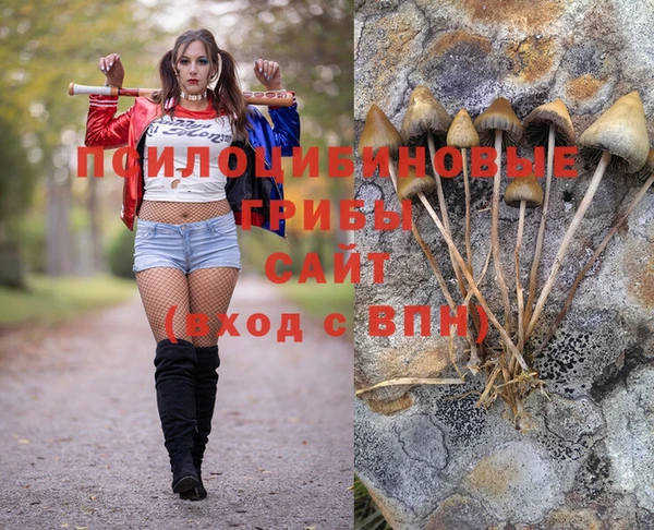 соль курить ск Балахна