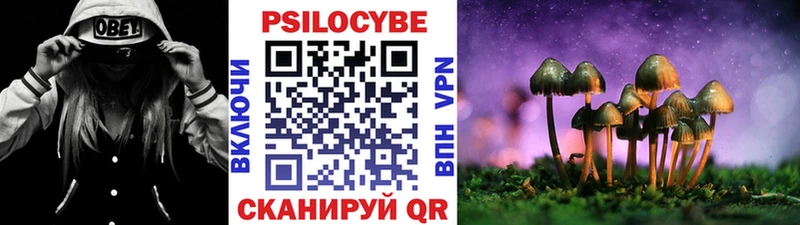 мега вход  Верея  Псилоцибиновые грибы MAGIC MUSHROOMS 